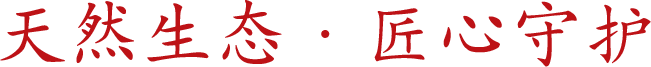 b08.png
