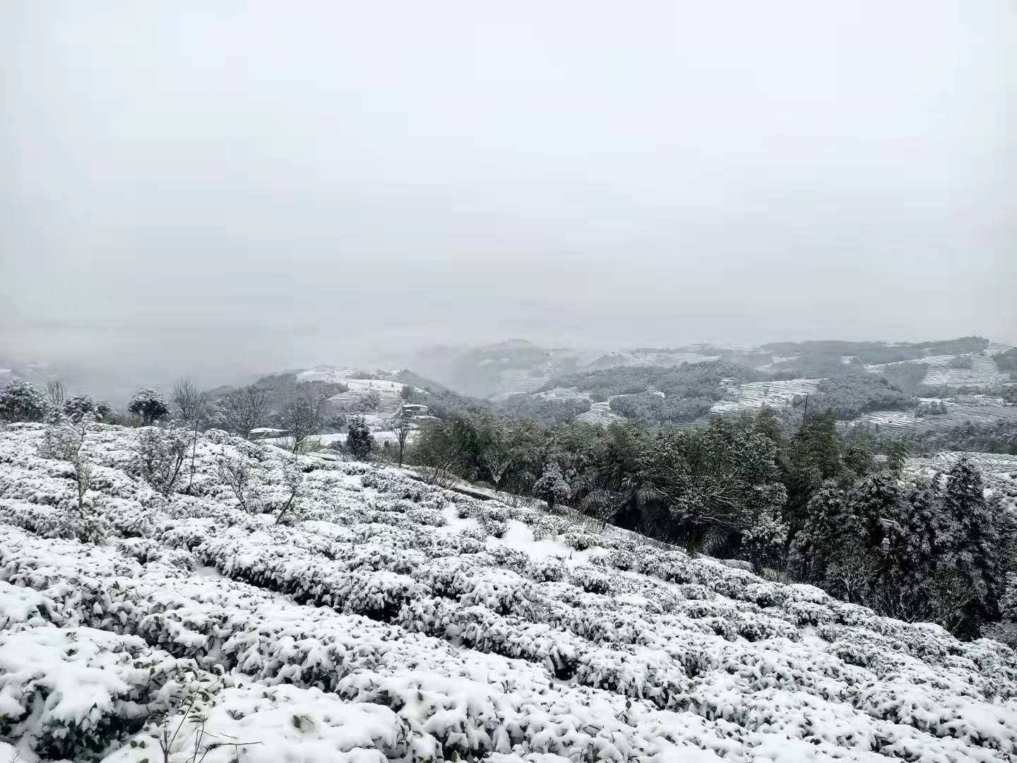 1645779494374987.png image.png