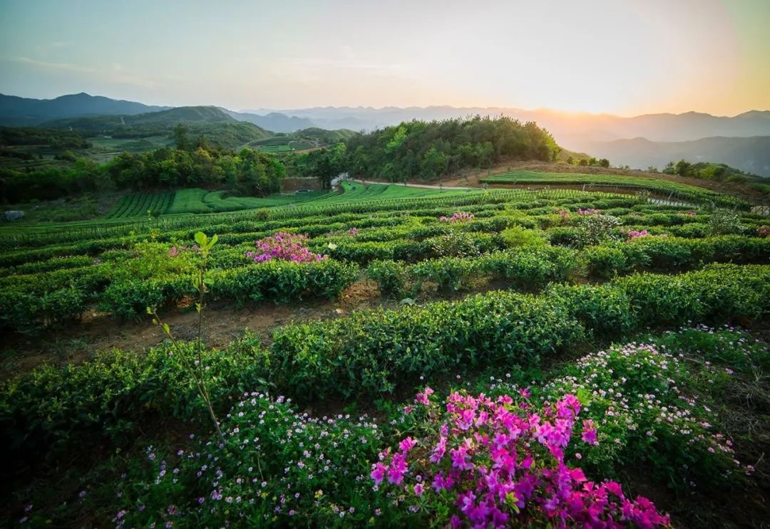 1647393793128646.jpeg WechatIMG345.jpeg