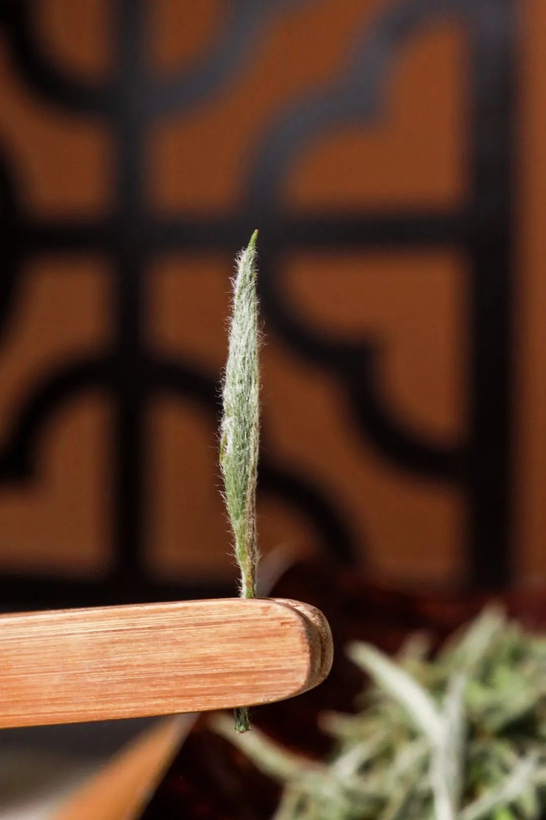 1647395138237631.jpeg WechatIMG349.jpeg