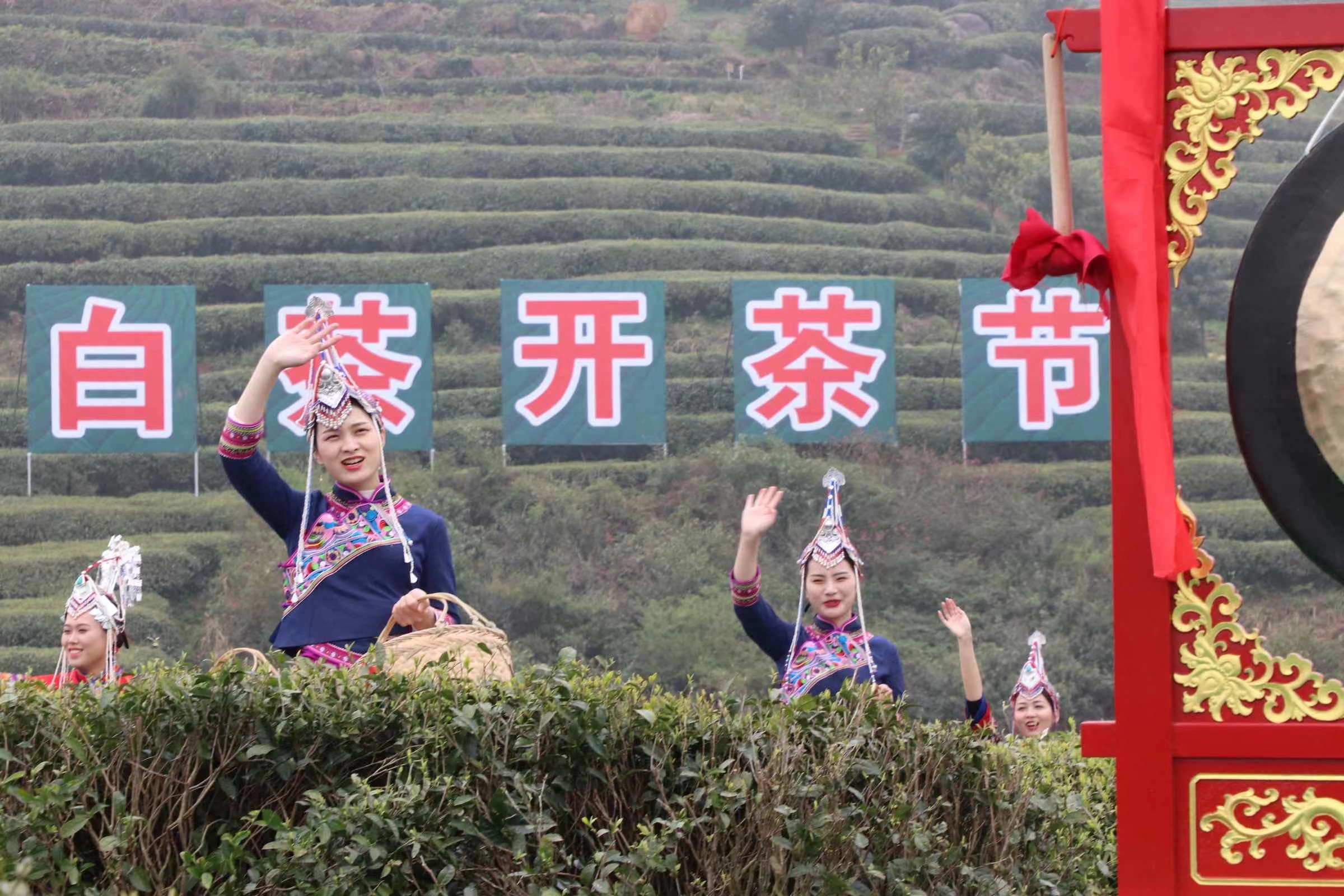 1648628612593615.jpeg WechatIMG432.jpeg