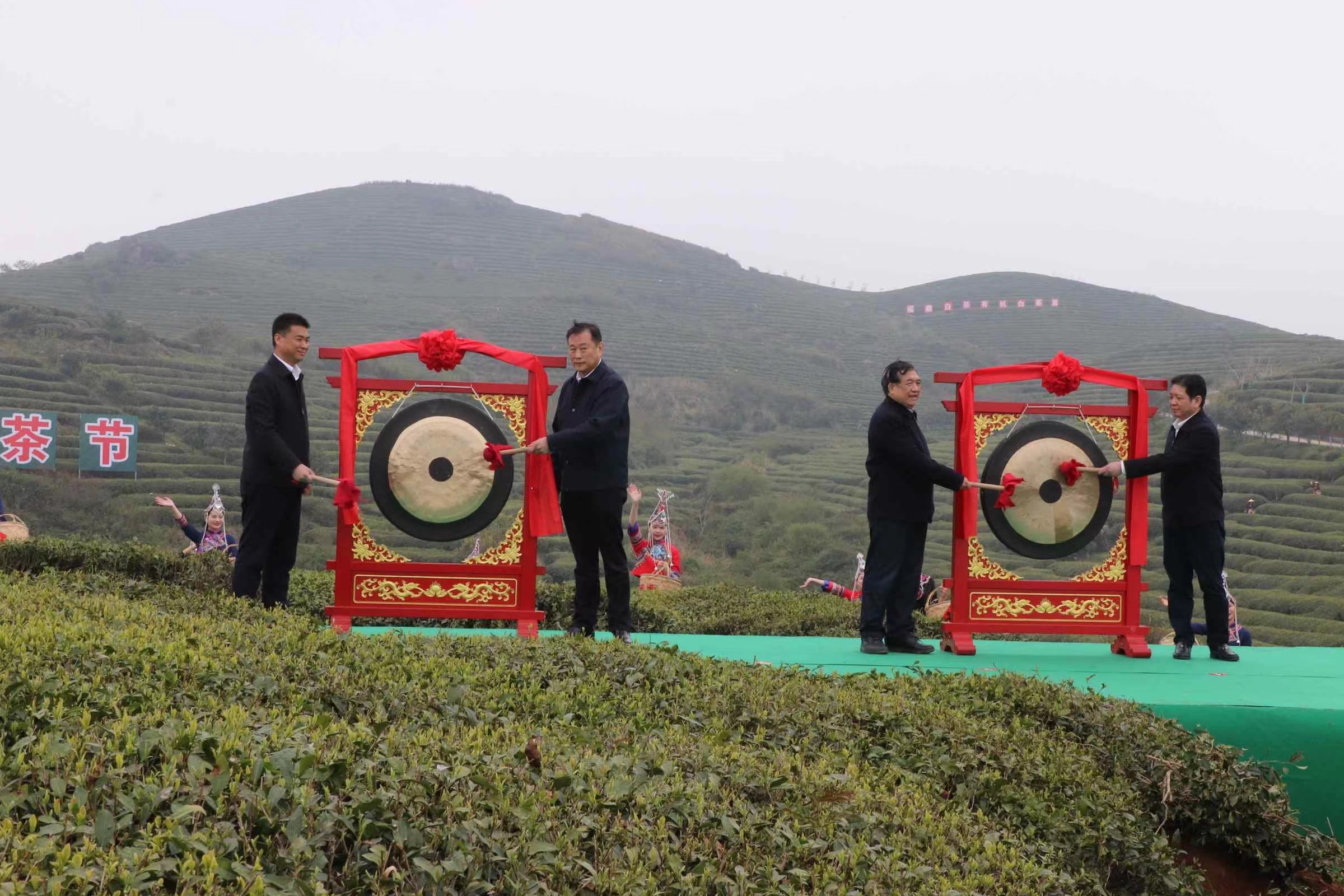 1648628633535278.jpeg WechatIMG431.jpeg