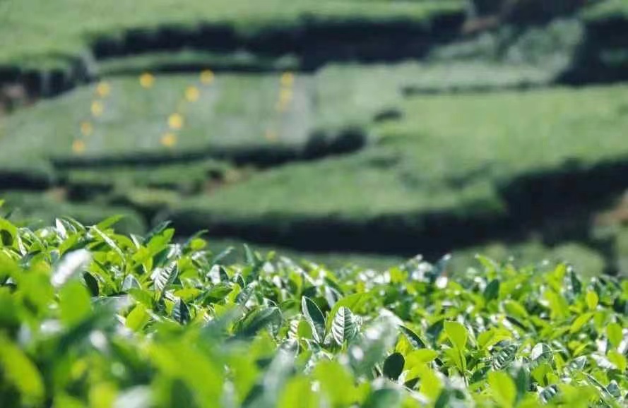 1648628658174871.jpeg WechatIMG429.jpeg