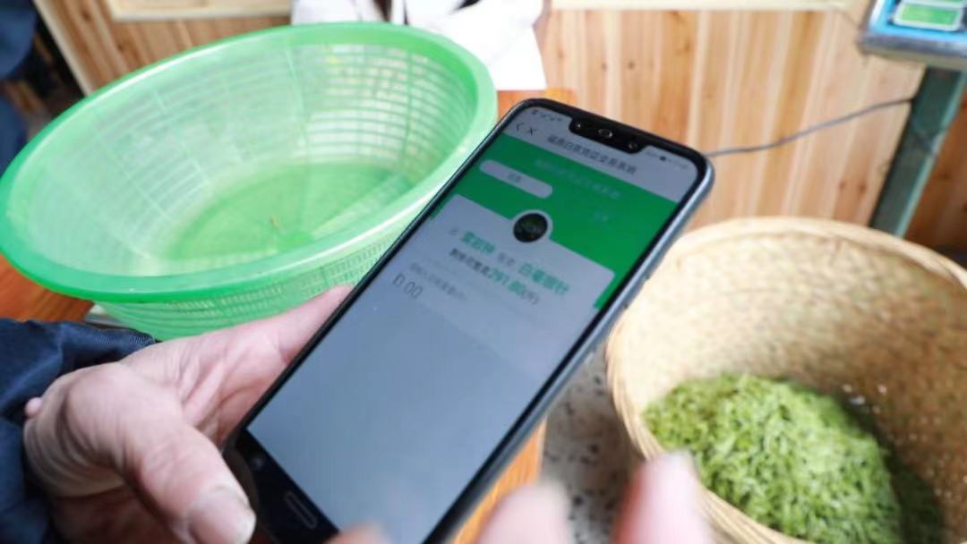 1648628664861929.jpeg WechatIMG428.jpeg