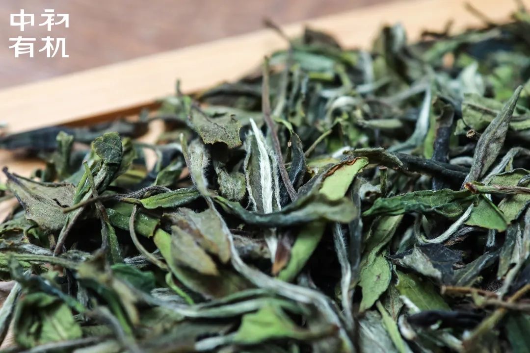 1655094436415142.png image.png