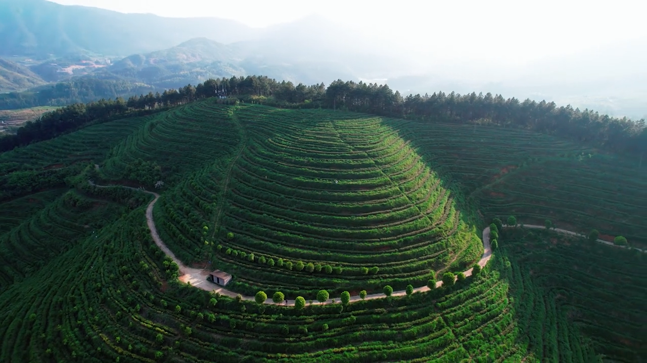 1657687534848059.png image.png