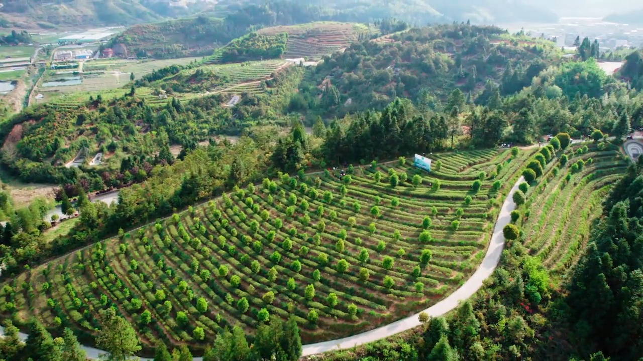 1657687545811090.png image.png