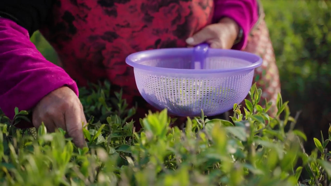 1657687563782360.png image.png