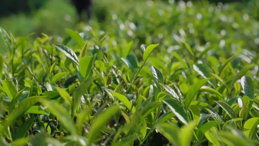 1657687581184072.png image.png