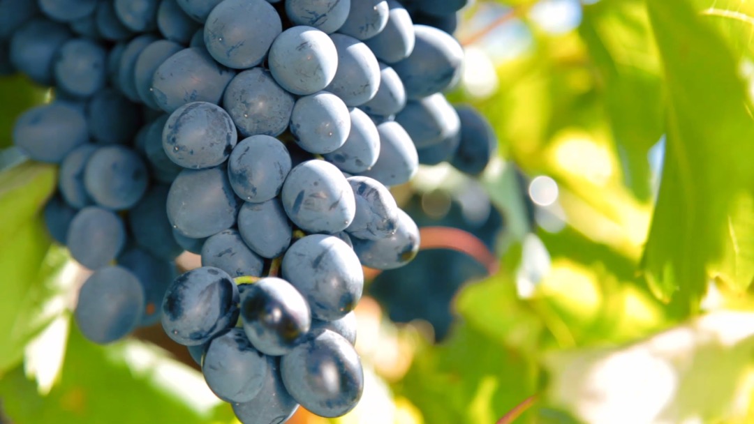 1659329858464086.png image.png