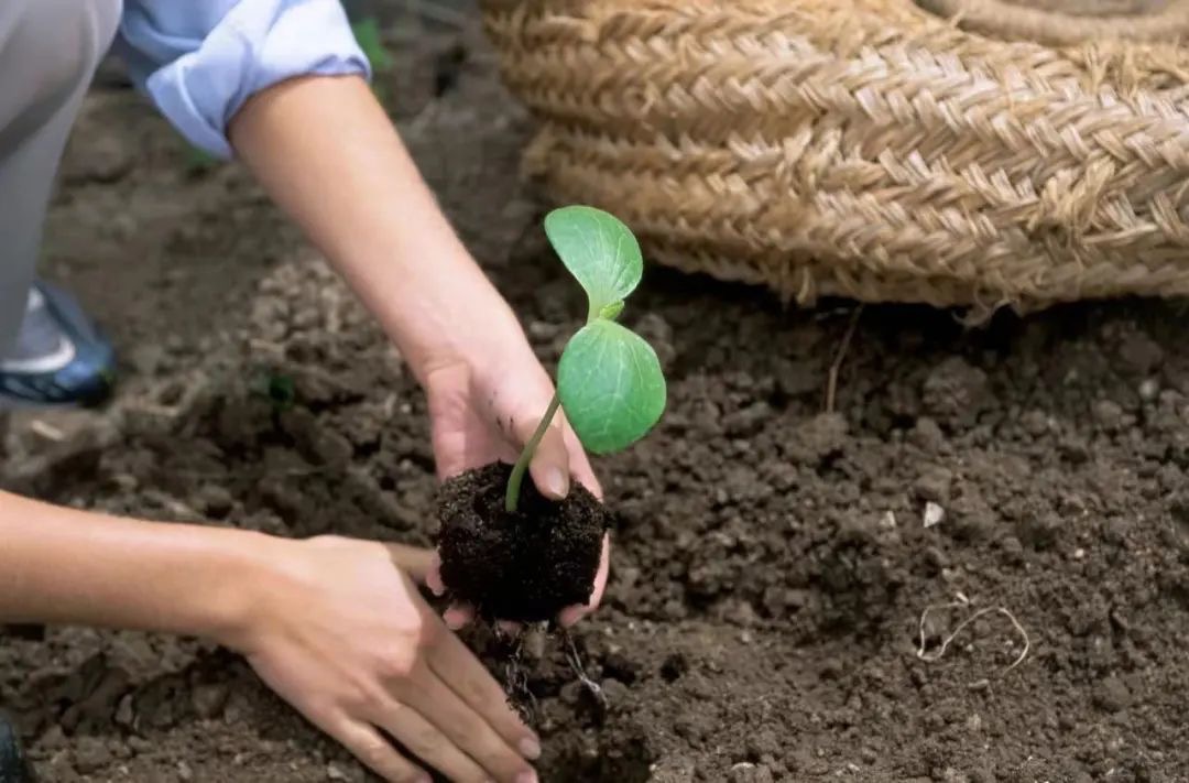 1664930977568292.png image.png