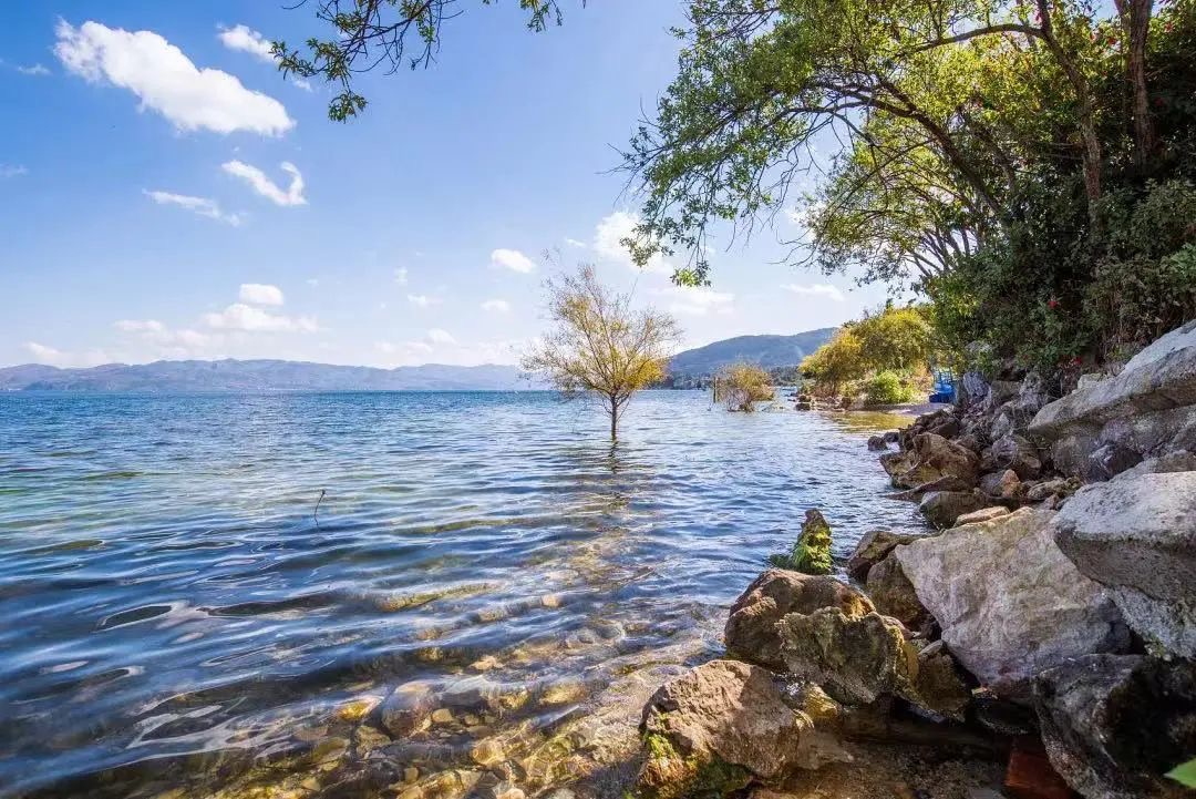 1664930985289514.png image.png