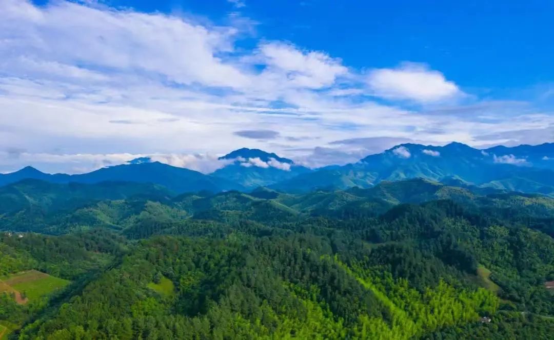 1664930994779559.png image.png