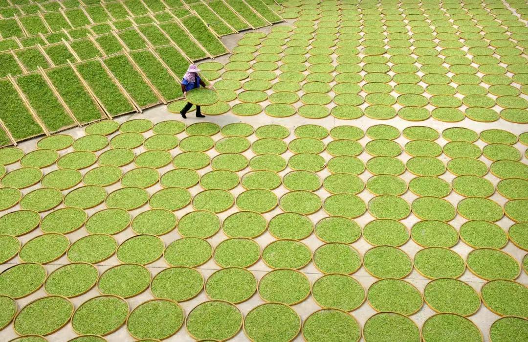 1680229726565298.png image.png