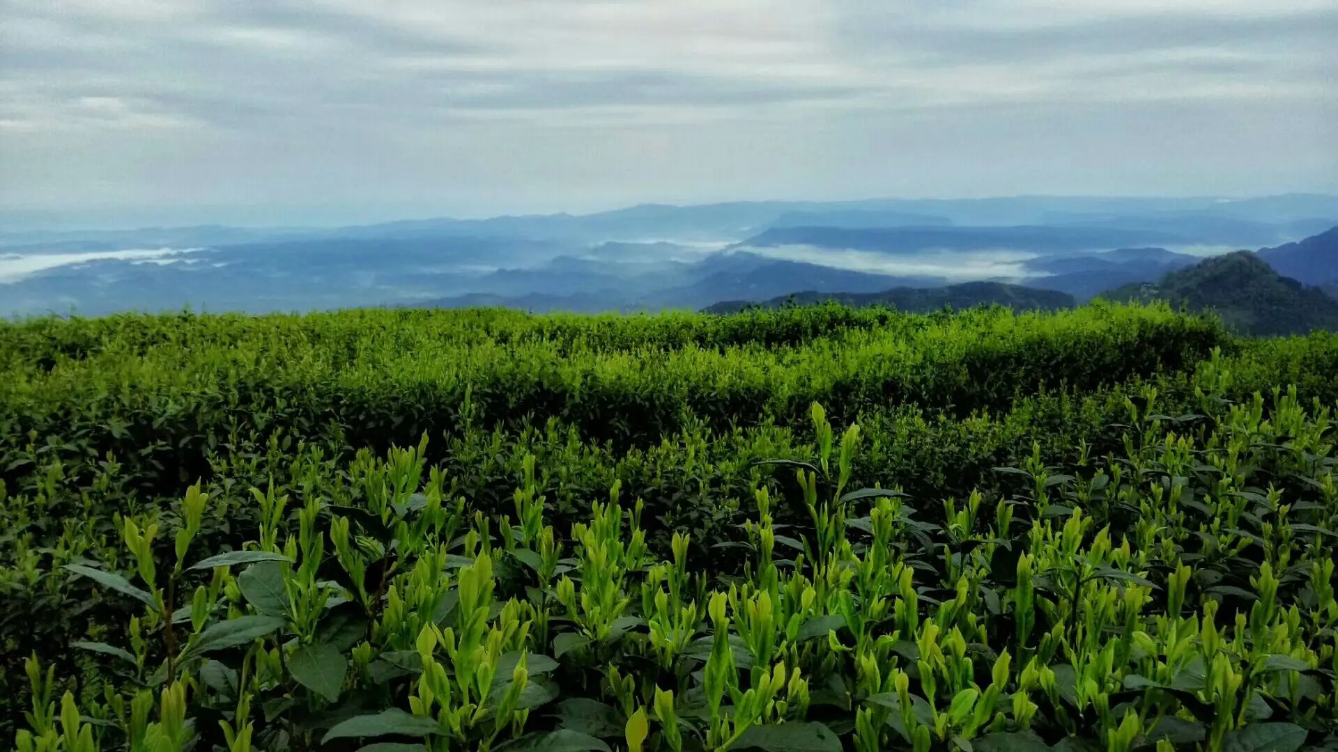 1681092766136419.png image.png