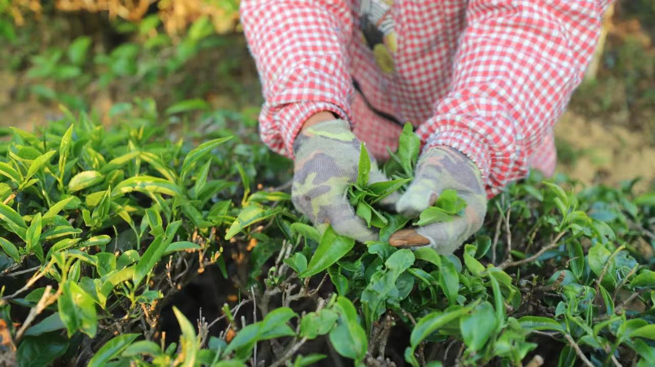 1681092785170010.png image.png