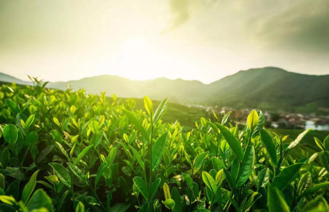 1681866357859429.png image.png