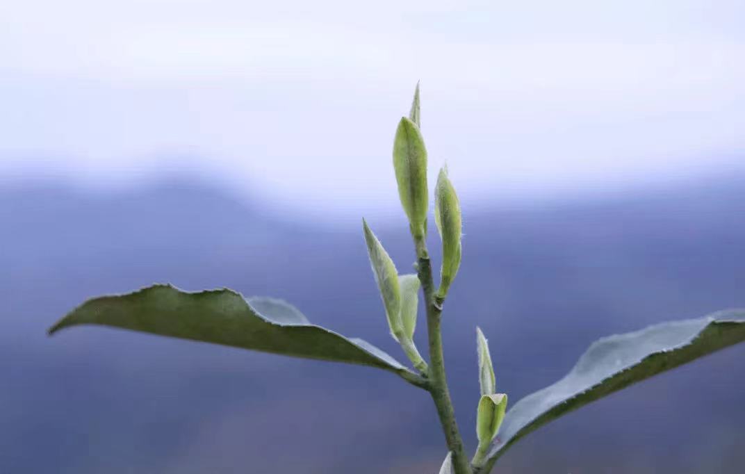 1682313212669531.png image.png